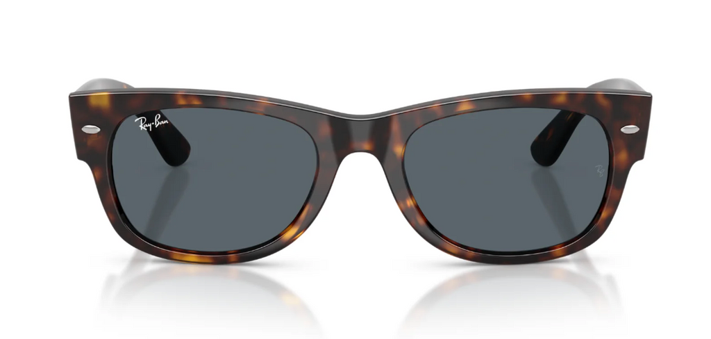 RAY BAN 0832S