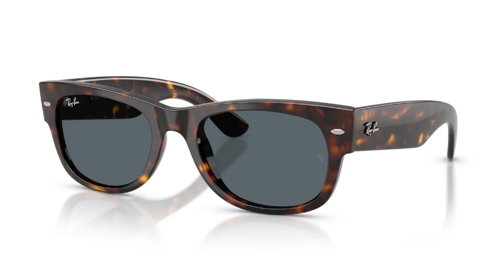 RAY BAN 0832S
